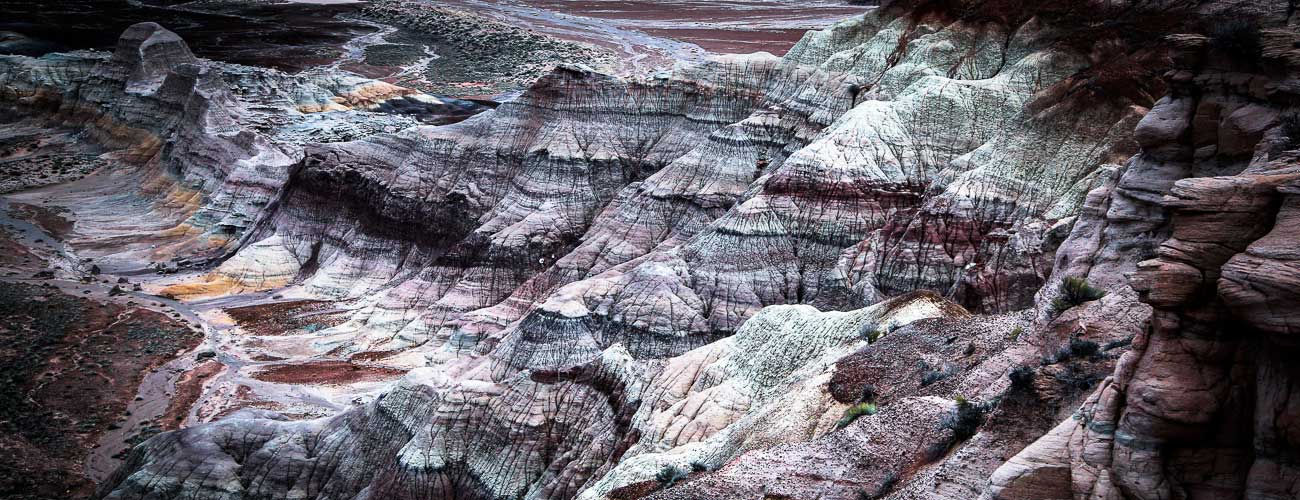 Petrified Forest National Park: Timeless Painted Desert