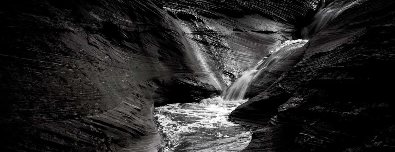 Southwest After the Rain: Nature’s Transformation